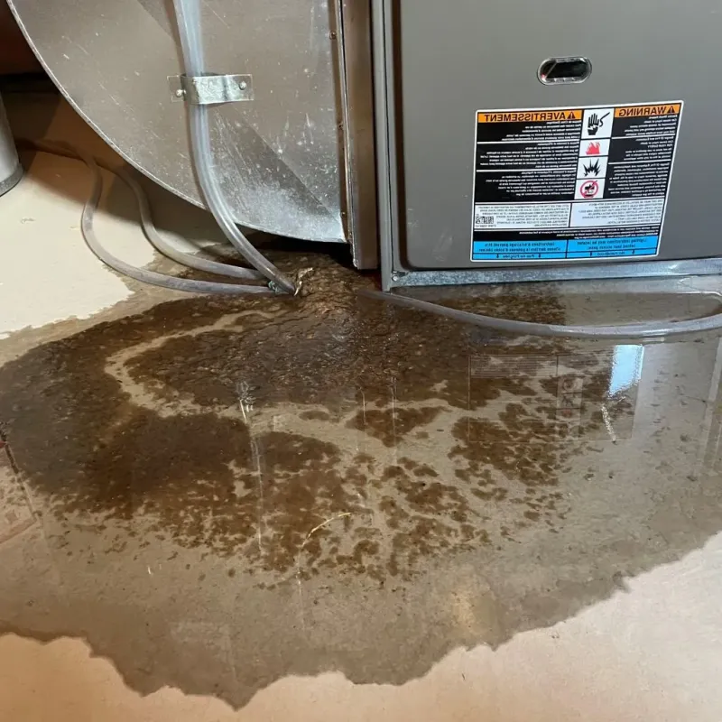 Pipe Burst and Leak Restoration in Monson, MA