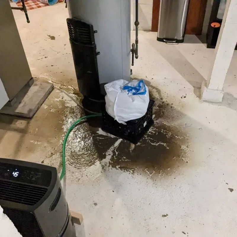 Sewage Backup Cleanup Service in Monson, MA